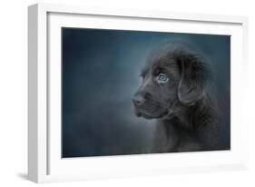 Blue Eyed Puppy-Jai Johnson-Framed Giclee Print