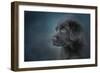 Blue Eyed Puppy-Jai Johnson-Framed Premium Giclee Print