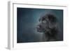 Blue Eyed Puppy-Jai Johnson-Framed Premium Giclee Print