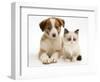 Blue-Eyed Red Merle Border Collie Puppy with Birman-Cross Kitten, Blue Eyes-Jane Burton-Framed Premium Photographic Print