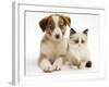 Blue-Eyed Red Merle Border Collie Puppy with Birman-Cross Kitten, Blue Eyes-Jane Burton-Framed Photographic Print