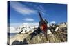 Blue-Eyed Shag, Antarctica-Paul Souders-Stretched Canvas
