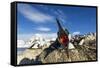 Blue-Eyed Shag, Antarctica-Paul Souders-Framed Stretched Canvas