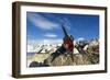 Blue-Eyed Shag, Antarctica-Paul Souders-Framed Photographic Print