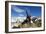 Blue-Eyed Shag, Antarctica-Paul Souders-Framed Photographic Print