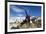 Blue-Eyed Shag, Antarctica-Paul Souders-Framed Photographic Print