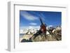 Blue-Eyed Shag, Antarctica-Paul Souders-Framed Photographic Print