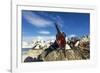 Blue-Eyed Shag, Antarctica-Paul Souders-Framed Photographic Print