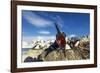 Blue-Eyed Shag, Antarctica-Paul Souders-Framed Photographic Print