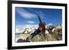 Blue-Eyed Shag, Antarctica-Paul Souders-Framed Photographic Print