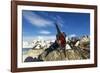 Blue-Eyed Shag, Antarctica-Paul Souders-Framed Photographic Print