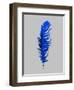 Blue Feather IV-Jensen Adamsen-Framed Art Print