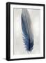 Blue Feather on Silver I-Julia Bosco-Framed Art Print