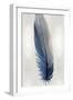 Blue Feather on Silver I-Julia Bosco-Framed Art Print