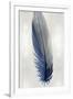 Blue Feather on Silver I-Julia Bosco-Framed Art Print