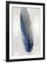 Blue Feather on Silver I-Julia Bosco-Framed Art Print