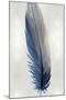 Blue Feather on Silver I-Julia Bosco-Mounted Art Print