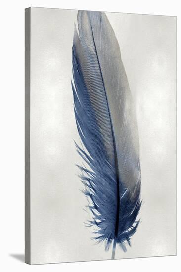 Blue Feather on Silver I-Julia Bosco-Stretched Canvas