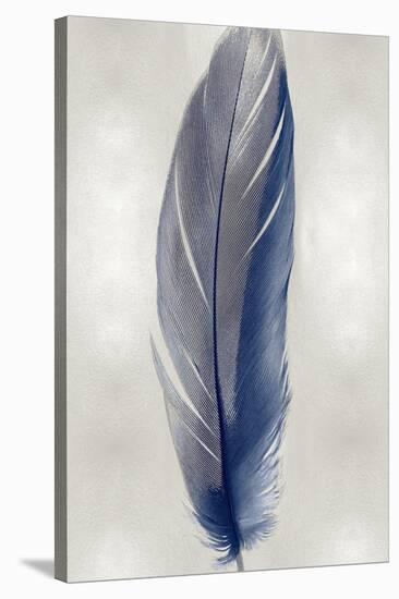 Blue Feather on Silver II-Julia Bosco-Stretched Canvas
