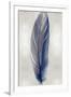 Blue Feather on Silver II-Julia Bosco-Framed Art Print