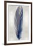 Blue Feather on Silver II-Julia Bosco-Framed Art Print