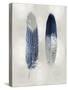 Blue Feather Pair on Silver-Julia Bosco-Stretched Canvas