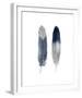 Blue Feather Pair-Julia Bosco-Framed Giclee Print