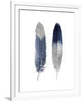 Blue Feather Pair-Julia Bosco-Framed Giclee Print