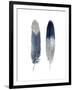 Blue Feather Pair-Julia Bosco-Framed Giclee Print