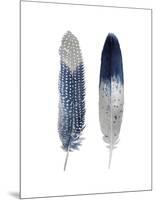 Blue Feather Pair-Julia Bosco-Mounted Giclee Print