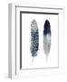 Blue Feather Pair-Julia Bosco-Framed Art Print