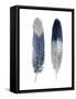 Blue Feather Pair-Julia Bosco-Framed Stretched Canvas