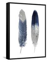 Blue Feather Pair-Julia Bosco-Framed Stretched Canvas