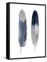 Blue Feather Pair-Julia Bosco-Framed Stretched Canvas