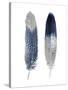 Blue Feather Pair-Julia Bosco-Stretched Canvas