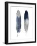 Blue Feather Pair-Julia Bosco-Framed Art Print