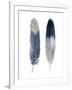Blue Feather Pair-Julia Bosco-Framed Art Print