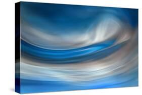 Blue Feather-Ursula Abresch-Stretched Canvas