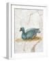 Blue Feathered Duck, C. 10-45-null-Framed Art Print