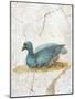 Blue Feathered Duck, C. 10-45-null-Mounted Art Print