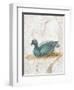 Blue Feathered Duck, C. 10-45-null-Framed Art Print