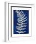 Blue Fern in White Border I-Elizabeth Medley-Framed Art Print