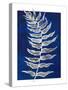 Blue Fern in White Border I-Elizabeth Medley-Stretched Canvas