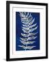 Blue Fern in White Border I-Elizabeth Medley-Framed Art Print