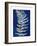 Blue Fern in White Border I-Elizabeth Medley-Framed Art Print