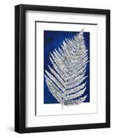 Blue Fern in White Border II-Elizabeth Medley-Framed Art Print