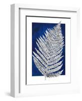 Blue Fern in White Border II-Elizabeth Medley-Framed Art Print