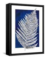 Blue Fern in White Border II-Elizabeth Medley-Framed Stretched Canvas
