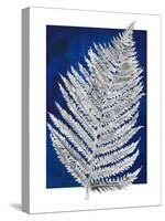 Blue Fern in White Border II-Elizabeth Medley-Stretched Canvas