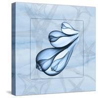Blue Figs 1-Albert Koetsier-Stretched Canvas